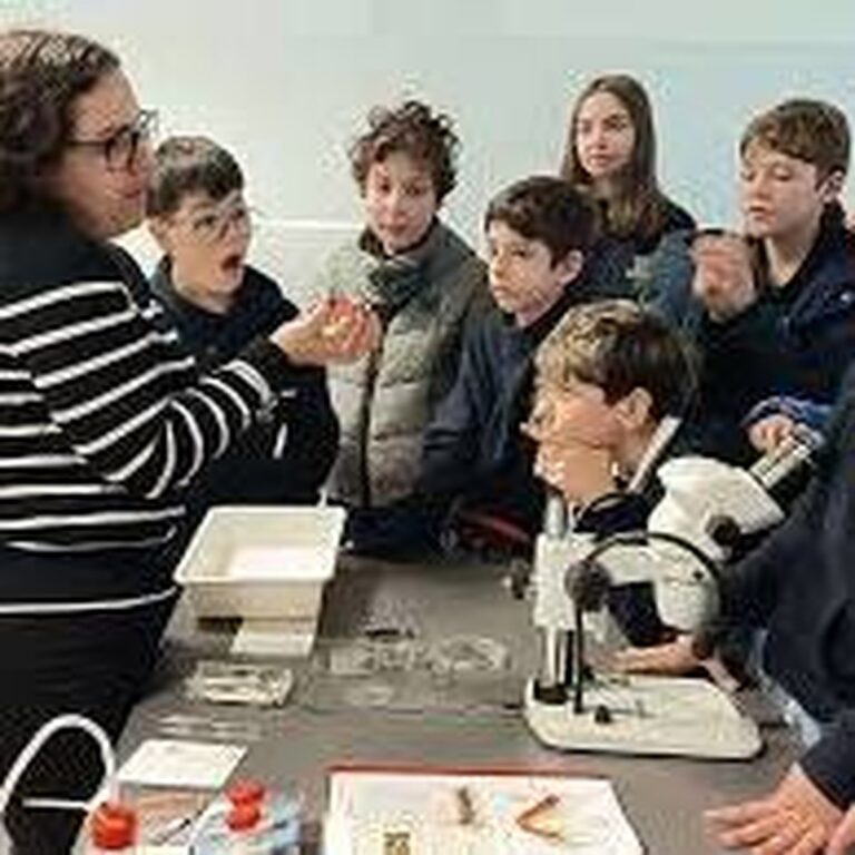 Cantanhede: Děti si uvědomují důležitost ochrany půdy