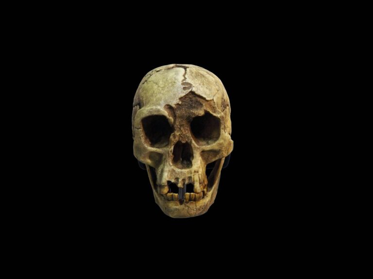 Ekologické změny a zmizení Homo floresiensis