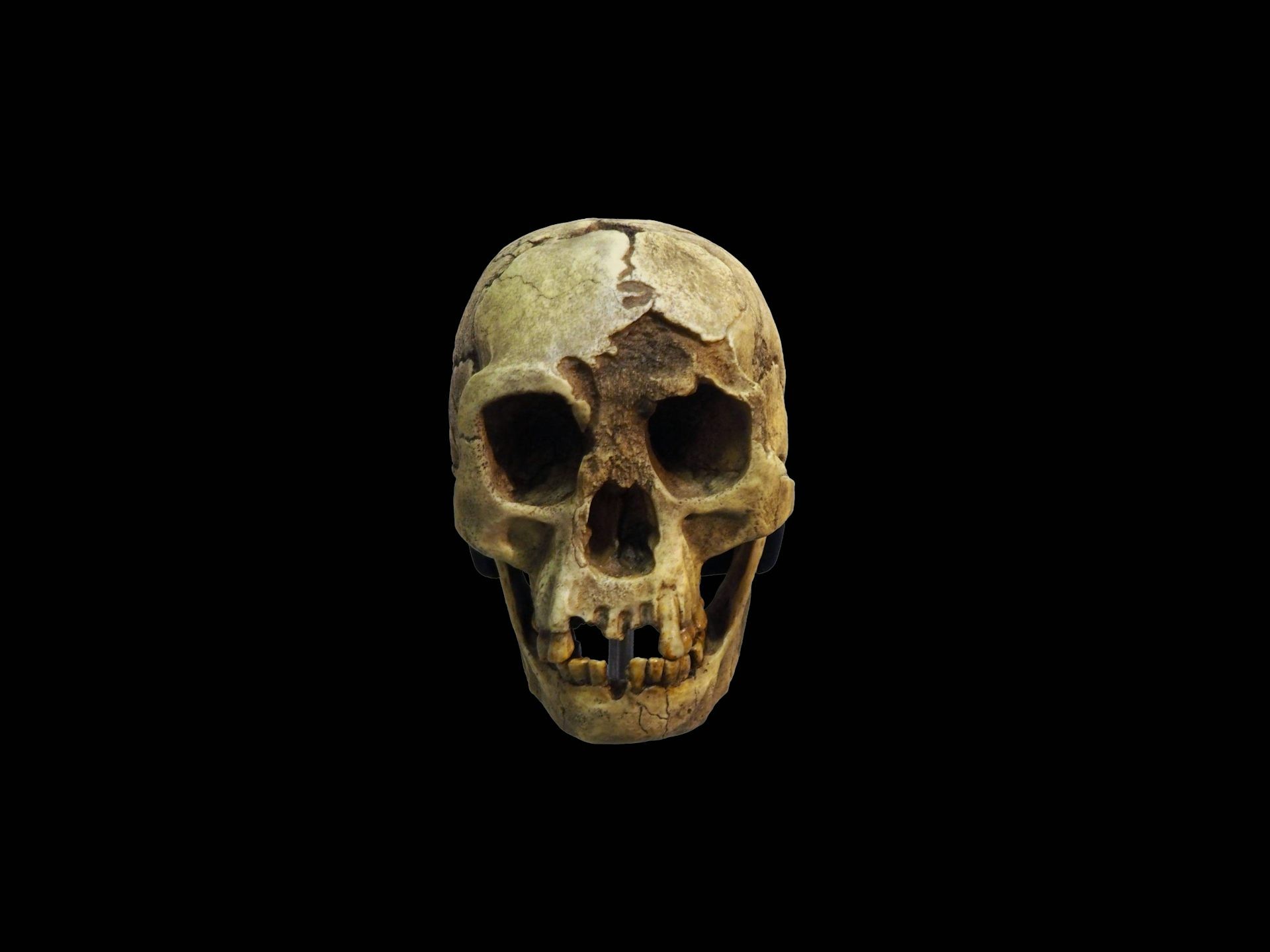 Ekologické změny a zmizení Homo floresiensis