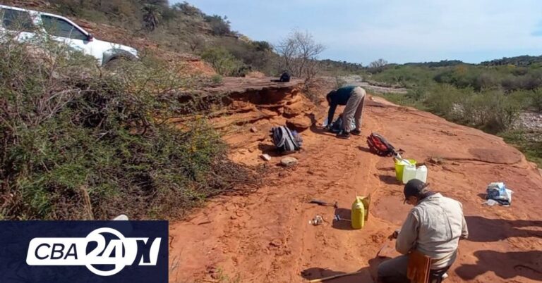 Historický nález v Cordobě: objev fosilního kostního fragmentu s velkým významem