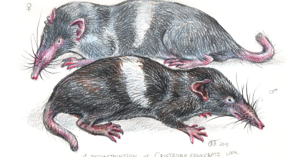 Historie průzkumu vzácných druhů: Příběh Pierra Sonerata