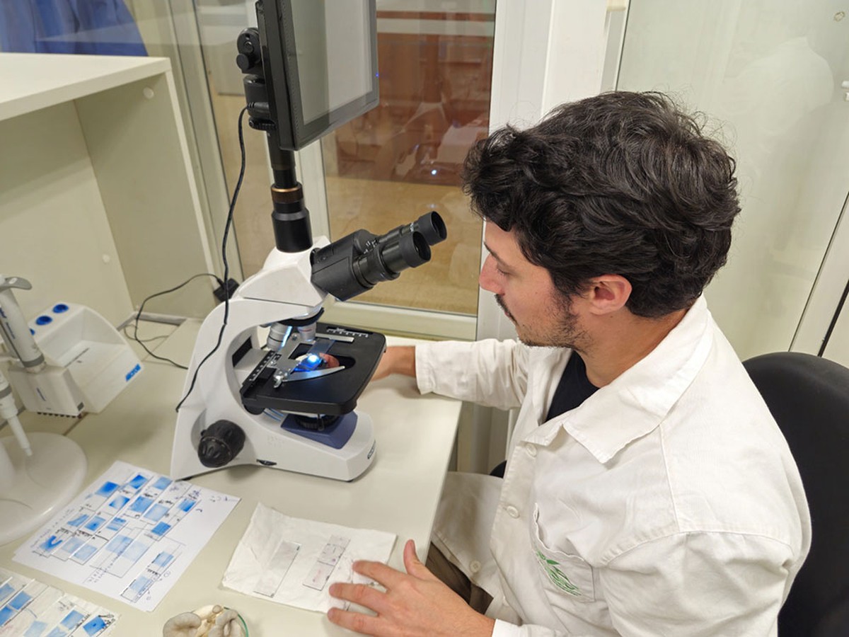 Instituto Misionero de Biodiversidad (IMiBio): Klíč k ochraně biodiverzity