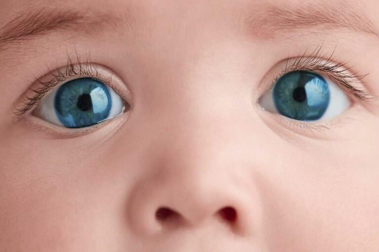 Jak Dětské Pozorování Změnilo Vědecké Chápání Ekologie