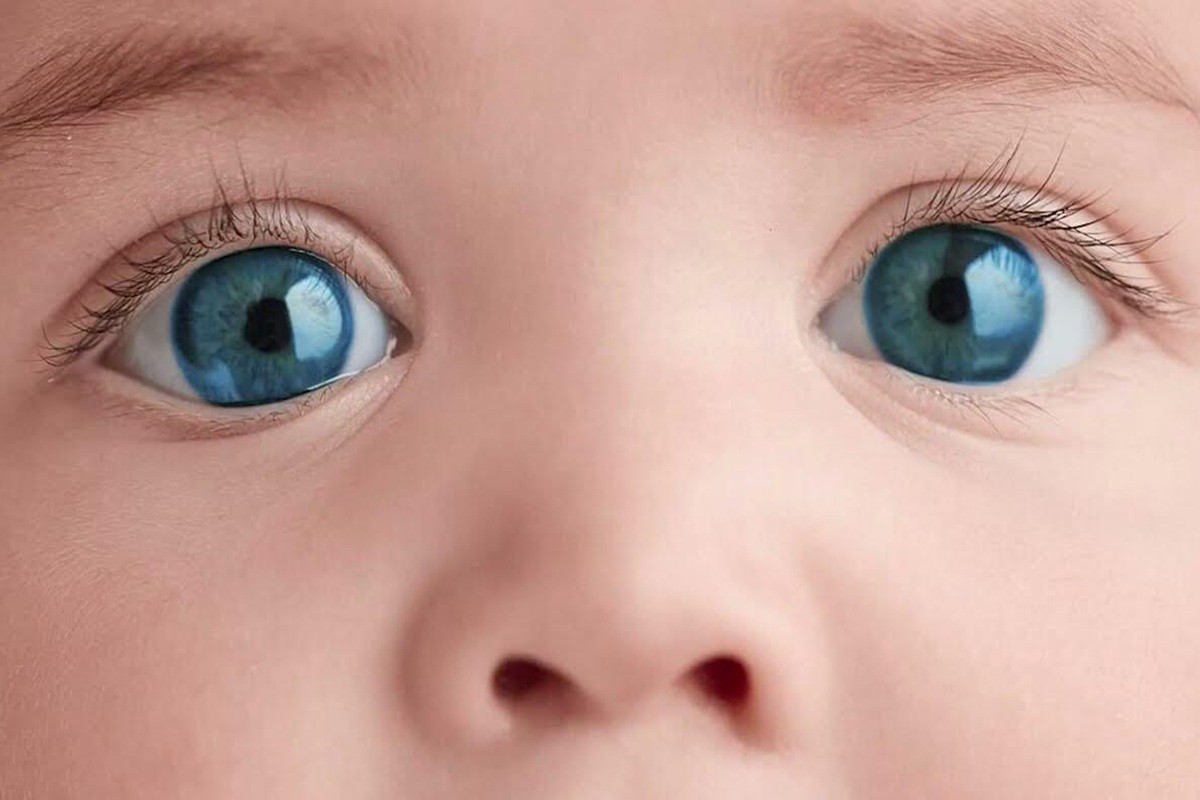 Jak Dětské Pozorování Změnilo Vědecké Chápání Ekologie