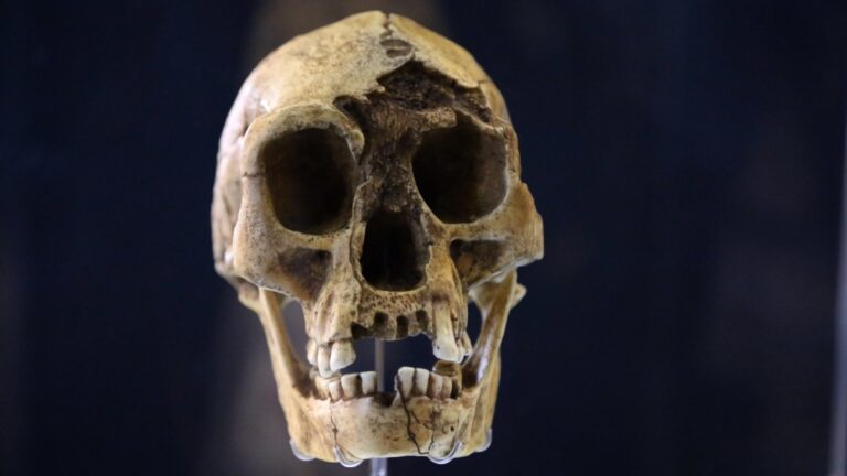 Klimatické změny a vyhynutí Homo floresiensis: Nové poznatky