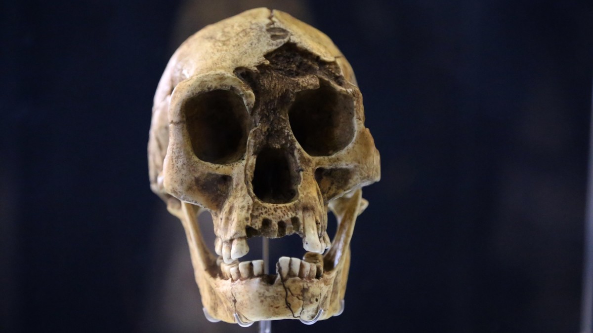 Klimatické změny a vyhynutí Homo floresiensis: Nové poznatky