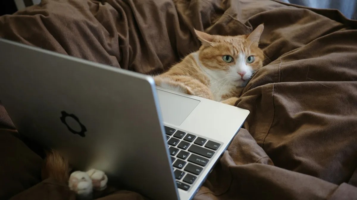 Mozilla Firefox a Mesterséges Intelligencia Korában