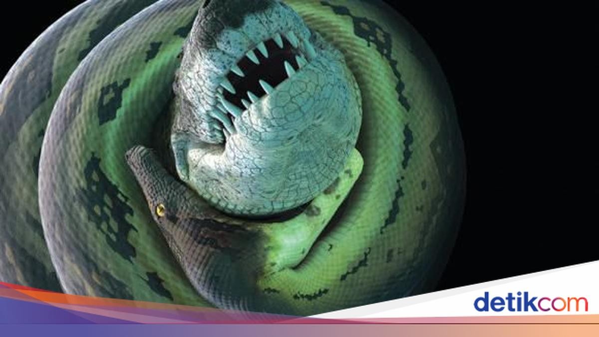 Objev obrovského prehistorického hada v Indii