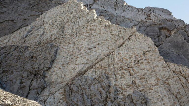 Objev stop dinosauřích býložravců v údolí Fraele