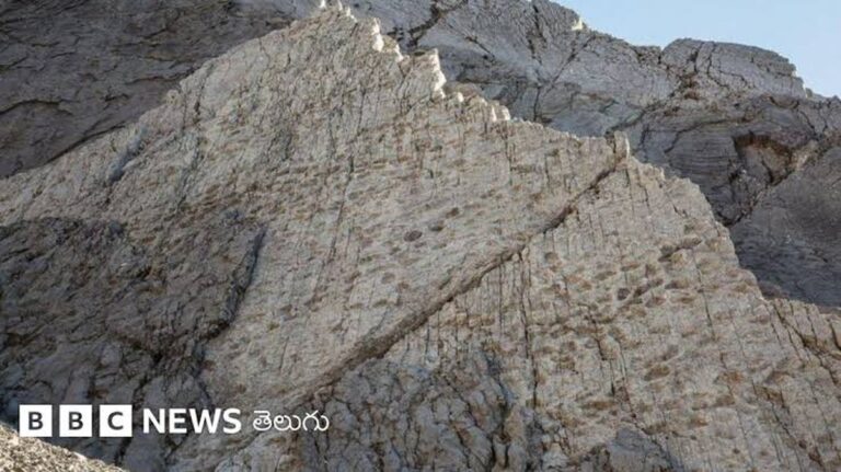 Objev stop dinosaurů v italském národním parku