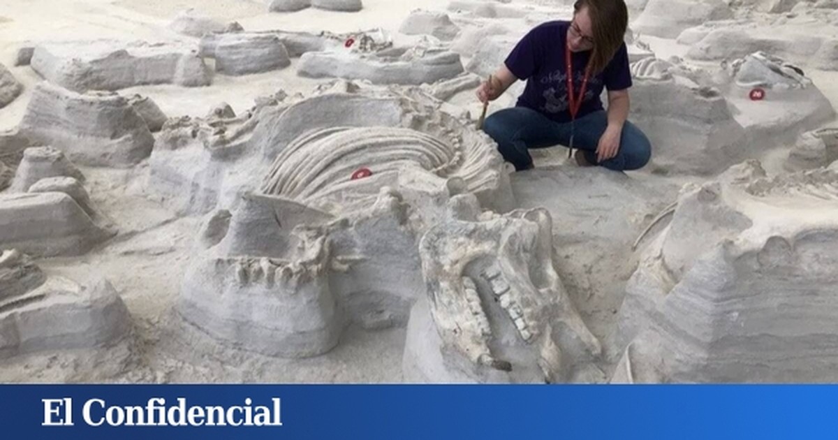 Objevy v Ashfall Fossil Beds, Nebraska