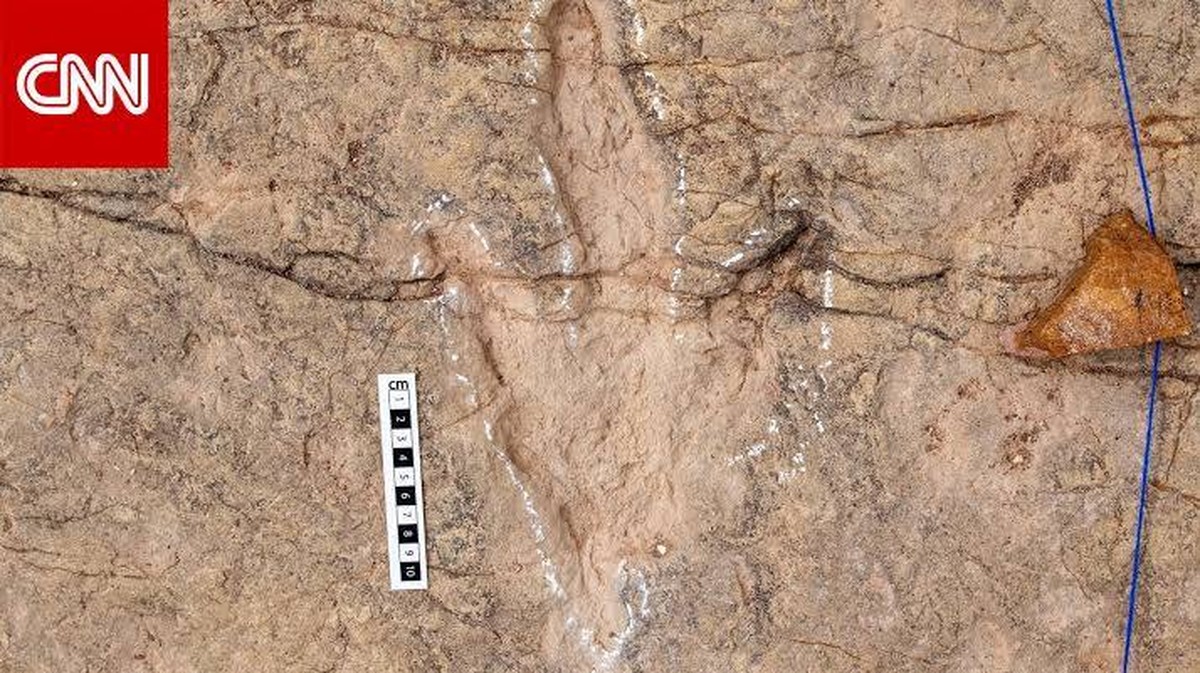 Odkryté stopy dinosaurů v Bolívii: Nové poznatky o pohybu tyranosauroidů