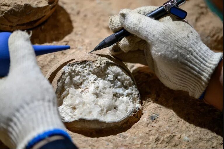 Přímo datované vejce dinosaurů jako vědecký průlom
