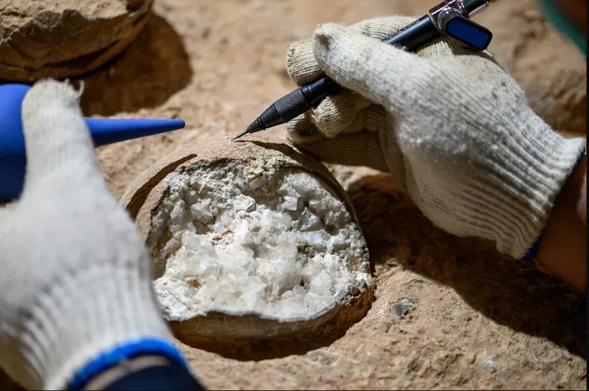 Přímo datované vejce dinosaurů jako vědecký průlom
