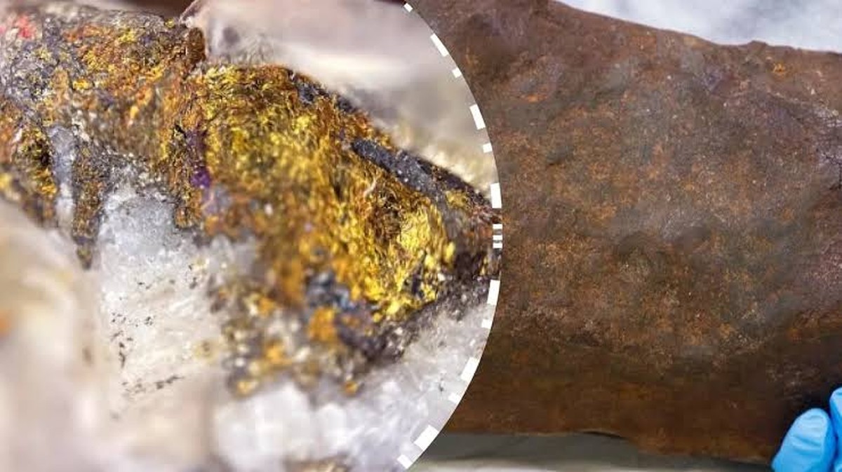 Proč váš pes naklání hlavu, když s ním mluvíte? Co se opravdu děje v jeho hlavě?