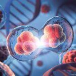 Regenerace: Proces, který udržuje naše tělo v kondici