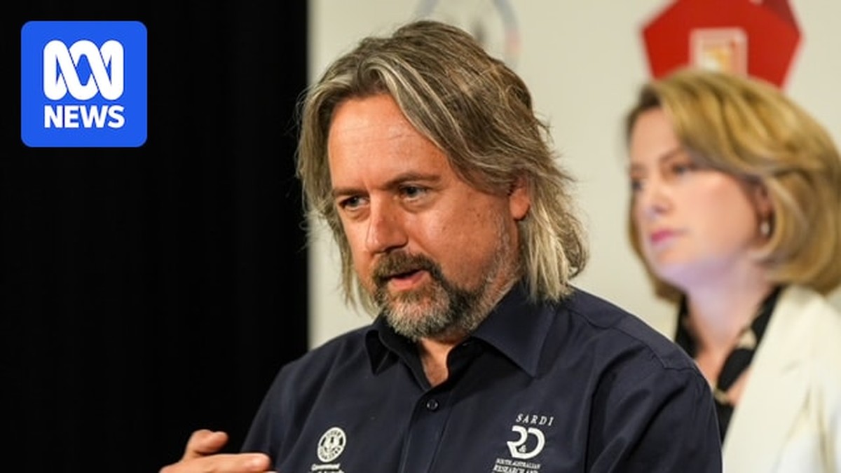 Testování algálních květin ukazuje pozitivní znaky před vrcholem letních teplot