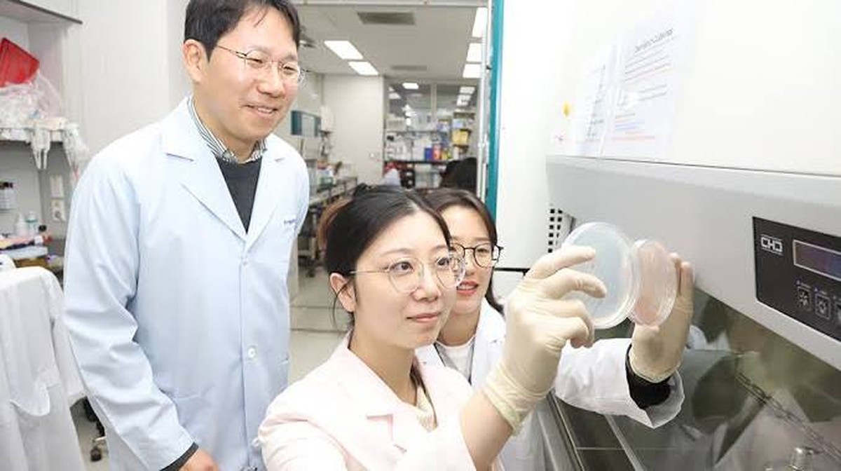 Vědci objevili řešení pro plastový odpad