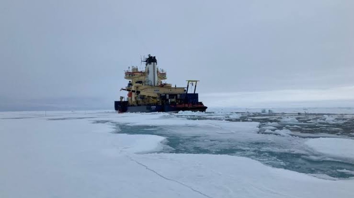 Vědci objevují "tajemný život" pod ledem Arktidy