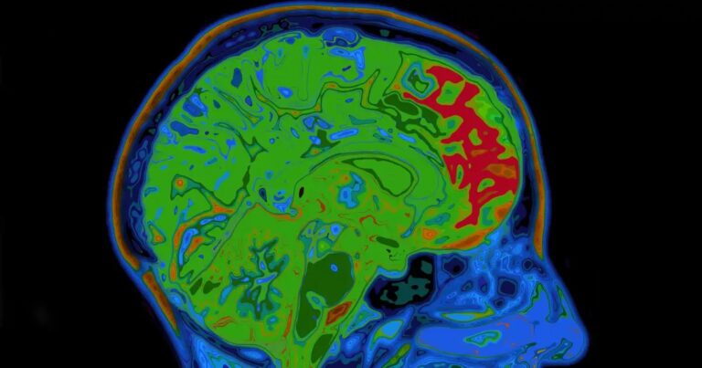Vědecký pohled na mechanismy odměny a jejich vliv na chování