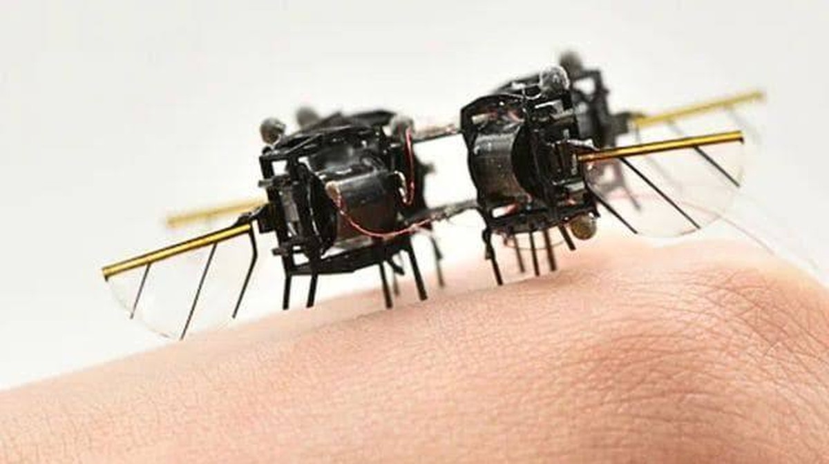 Vývoj malého robota s rychlostí včely