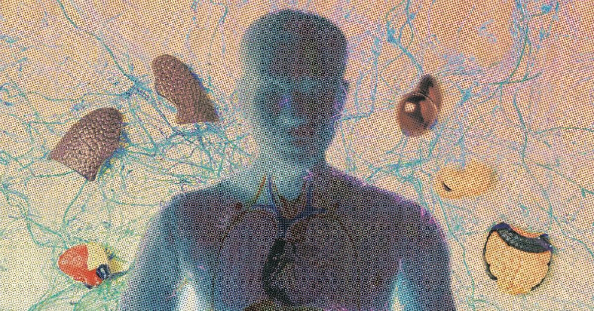 Výzkum interocepce a jeho dopady na duševní zdraví