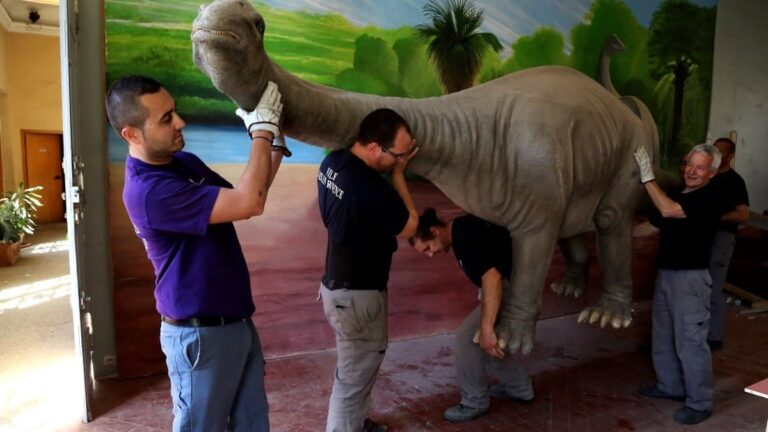 Absence Persistante d'un Lieu Dédié à la Présentation des Collections Paléontologiques à Aix