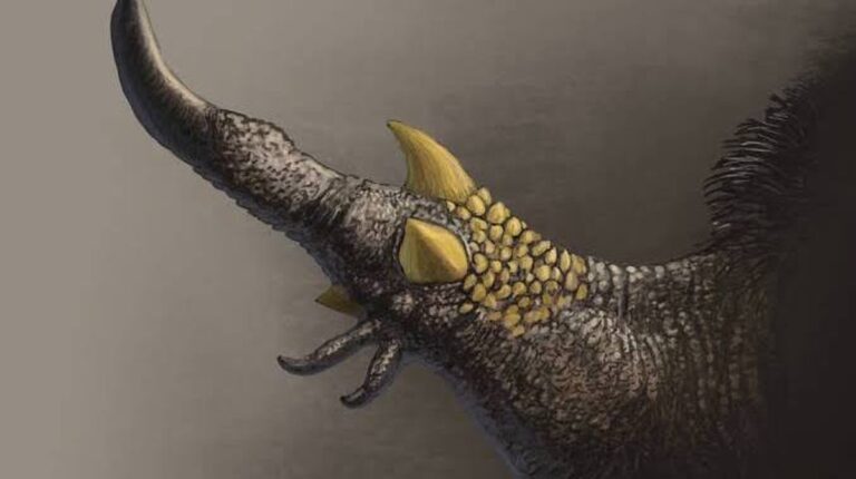 Dinosaurí, který měl specializované drápy na chytání vajec