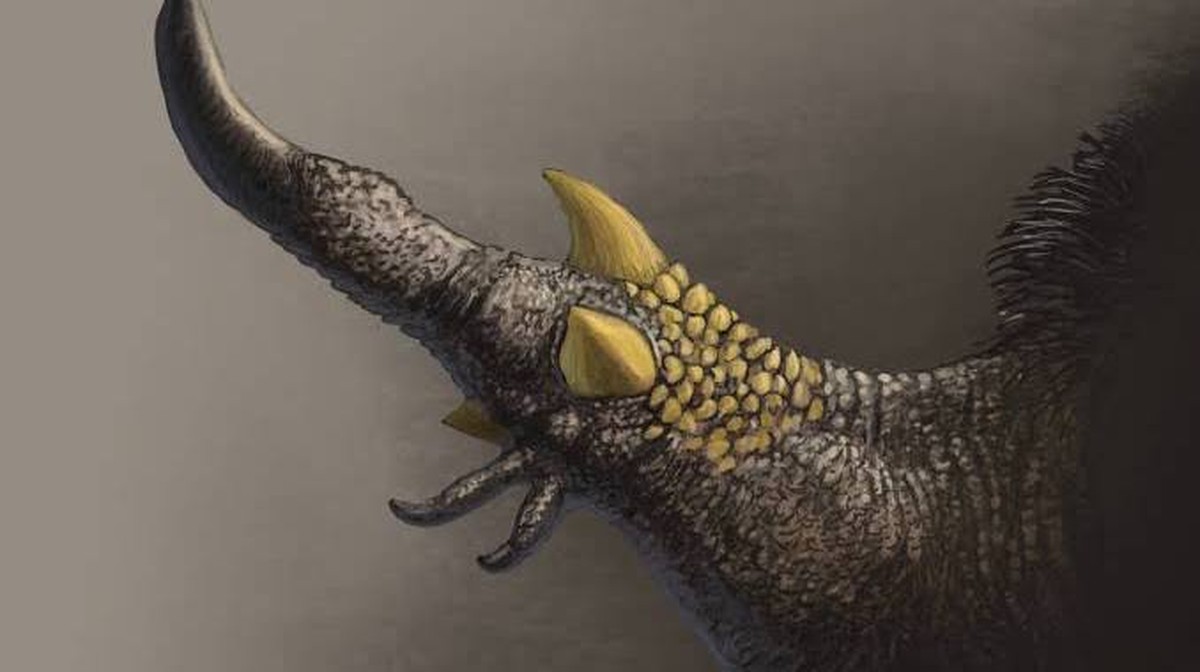 Dinosaurí, který měl specializované drápy na chytání vajec