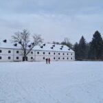 Dobrovolníci a Ptačí hodinka: Pomoc s monitorováním ptáků v Brně a Olomouci