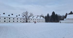 Dobrovolníci a Ptačí hodinka: Pomoc s monitorováním ptáků v Brně a Olomouci