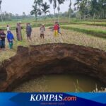 Fenomén Sutiny vzniklý v zemědělství v Situjuah Batua