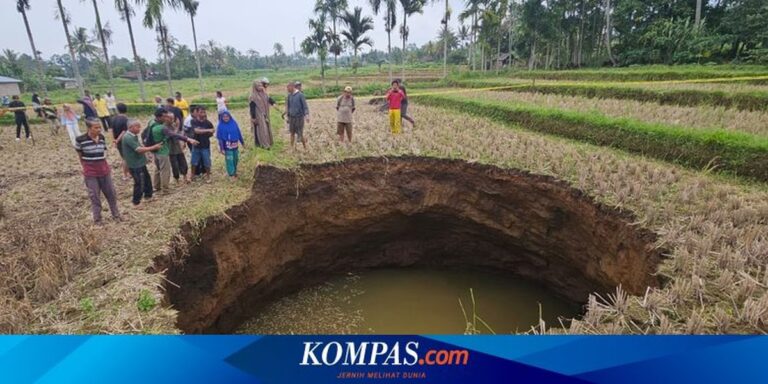 Fenomén Sutiny vzniklý v zemědělství v Situjuah Batua