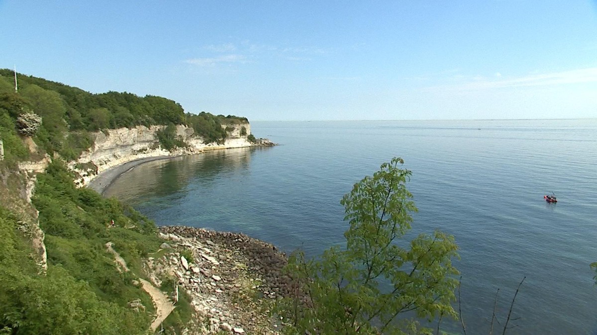 Fosilie z klintu mění pohled na přežití života