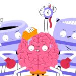 Jak efektivně studovat podle vědeckého výzkumu