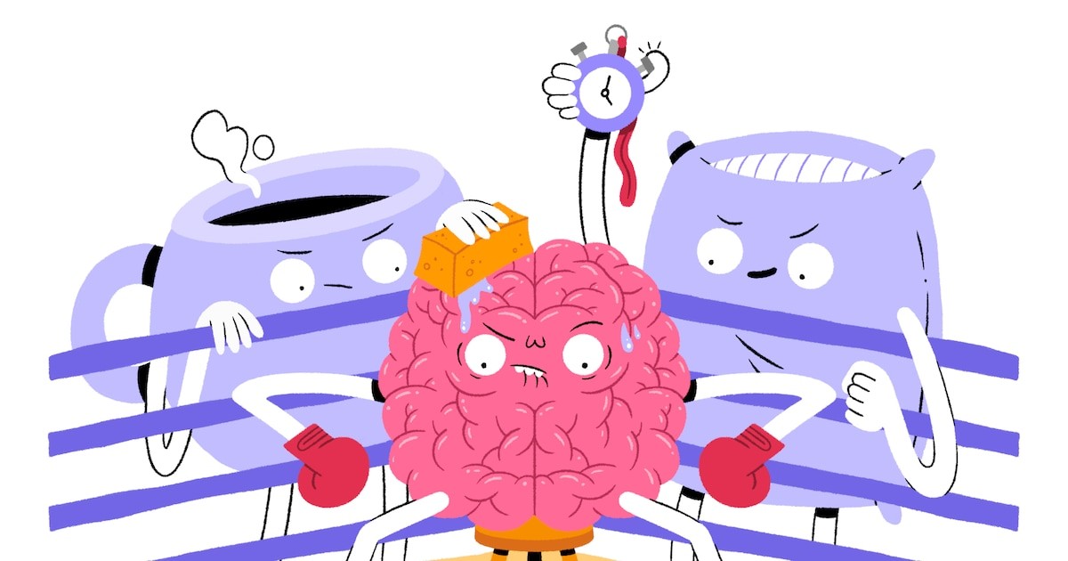 Jak efektivně studovat podle vědeckého výzkumu