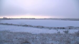 Jak se ptáci chovají, když všechno zamrzne?