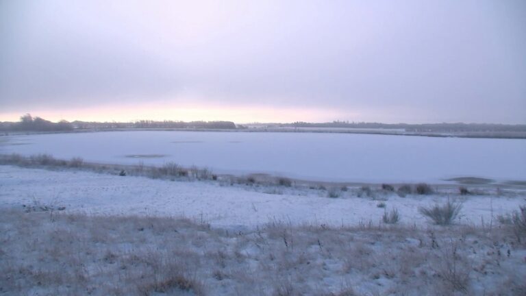 Jak se ptáci chovají, když všechno zamrzne?