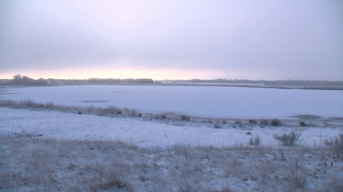 Jak se ptáci chovají, když všechno zamrzne?