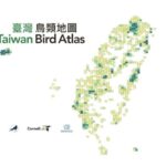 Karta ptáků na Tchaj-wanu: První výzkum dokončen v roce 2028