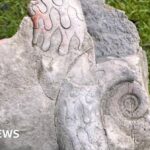 Nález fosílií odhaluje prehistorickou minulost Peak District