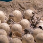 Naleźność niezwykłego odkrycia w jaju dinozaura bez embrionu