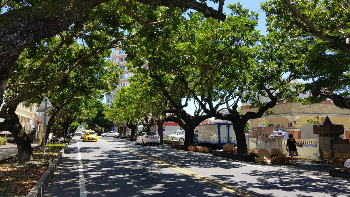 Nejstarší stromy v okrese Hualien a jejich ochrana