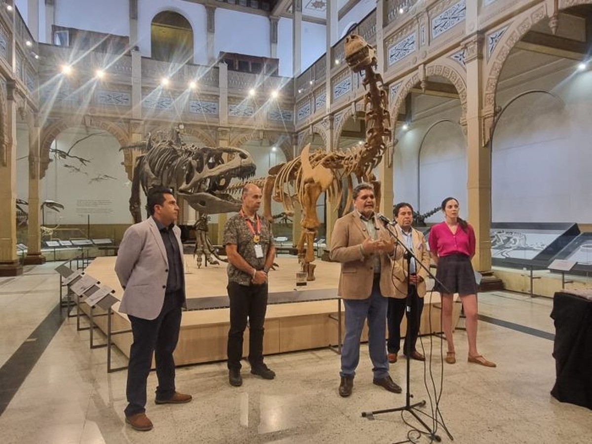 Nová kariéra v paleontologii na University of Atacama v Chile