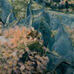 Objev aktivního podmořského vulkánu a jeho unikátní ekosystém