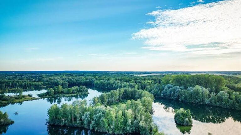 Objevte 17 výjimečných mokřadů v Seine-et-Marne