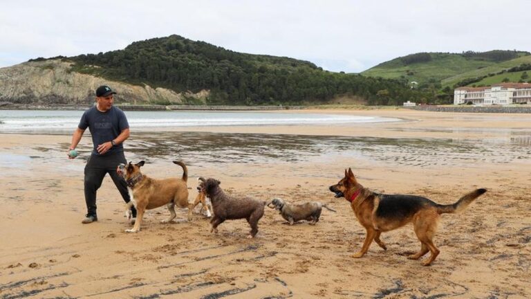 Ornitologové požadují zákaz volně puštěných psů na plážích a poblíž ústí řeky Urdaibai