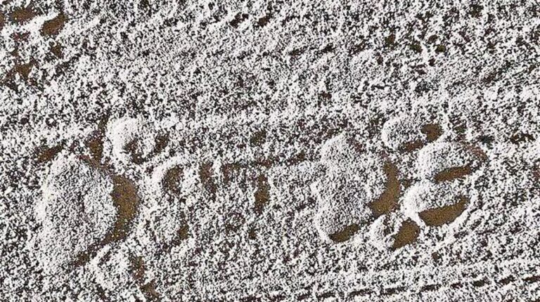 Pohyb velké kočky vzbuzuje obavy v regionech Udayagiri