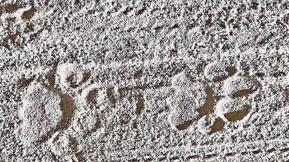 Pohyb velké kočky vzbuzuje obavy v regionech Udayagiri