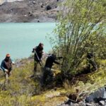 Pokrok invazivního druhu: odstranění vrb pro ochranu povodí řeky Manso a péči o místní lesy v Bariloche